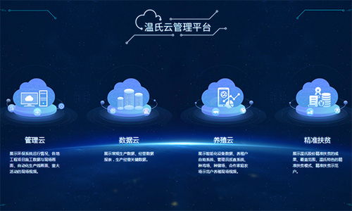 萬戶網絡 專業產品展示型網站建設，助力企業品牌騰飛